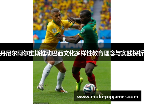 丹尼尔阿尔维斯推动巴西文化多样性教育理念与实践探析
