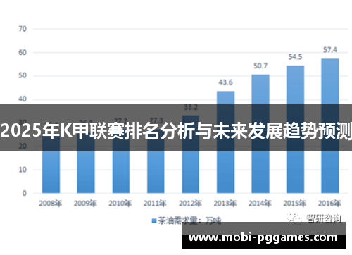 2025年K甲联赛排名分析与未来发展趋势预测