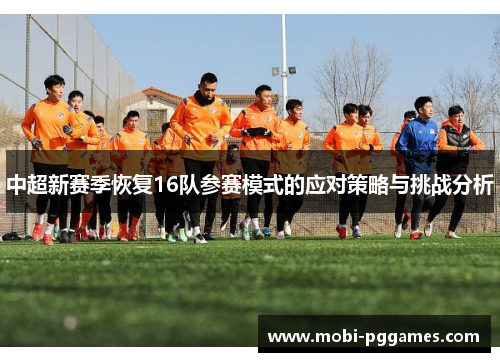 中超新赛季恢复16队参赛模式的应对策略与挑战分析