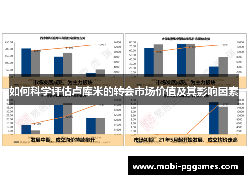 如何科学评估卢库米的转会市场价值及其影响因素